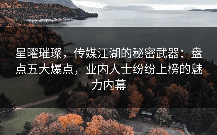 星曜璀璨,传媒江湖的秘密武器:盘点五大爆点,业内人士纷纷上榜的魅力内幕 星曜璀璨,传媒江湖的秘密武器:盘点五大爆点,业内人士纷纷上榜的魅力内幕